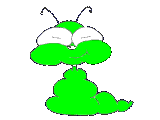 Raupi mascot